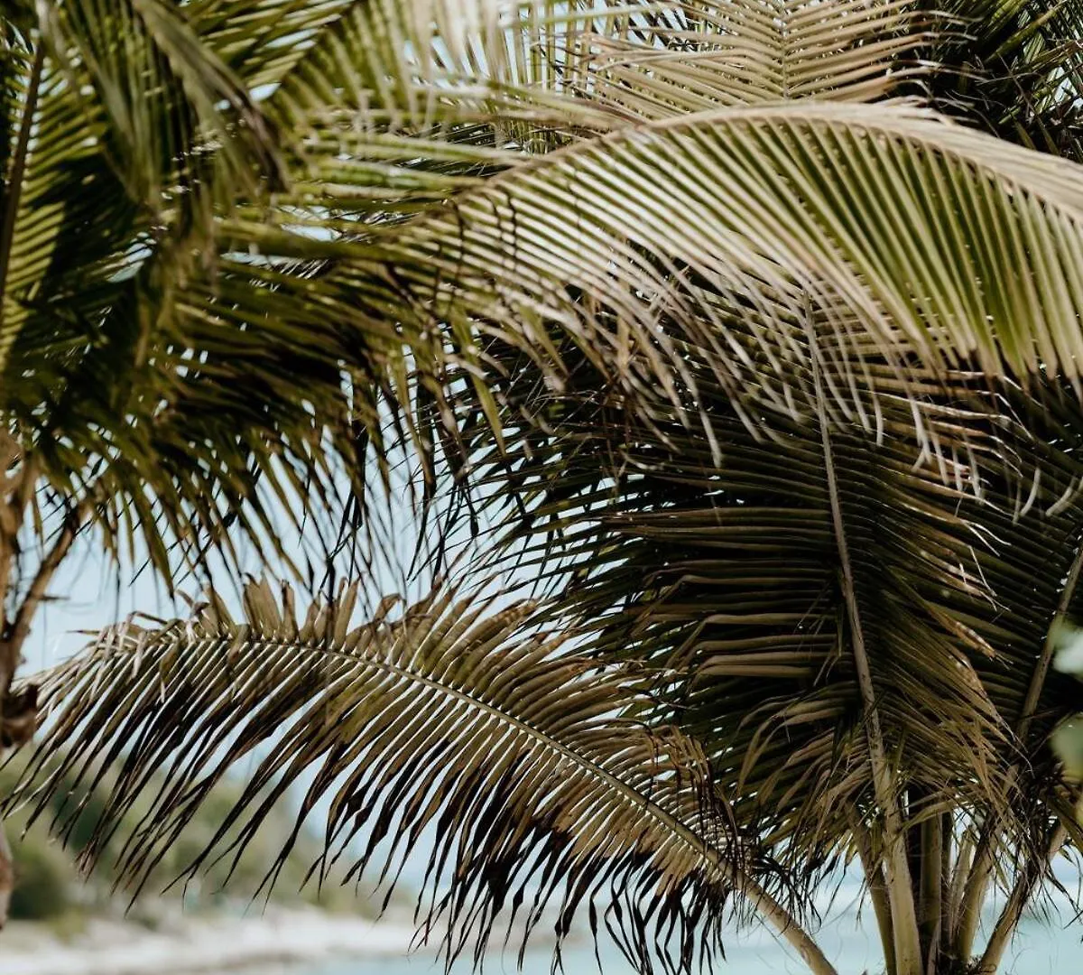 Beachfront Staff N Cook, Luxury 8 Bed Villa In Tulum Balcheil México