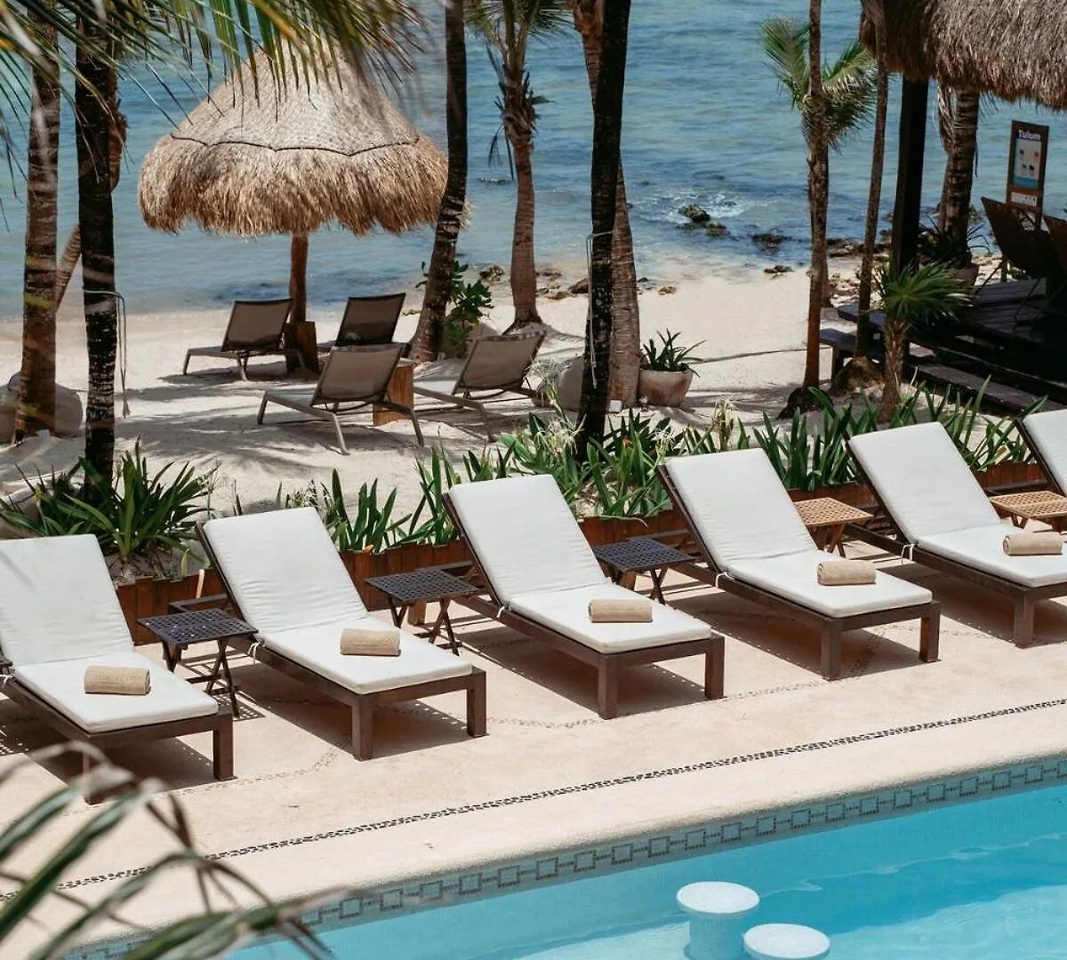 Beachfront Staff N Cook, Luxury 8 Bed Villa In Tulum Balcheil México