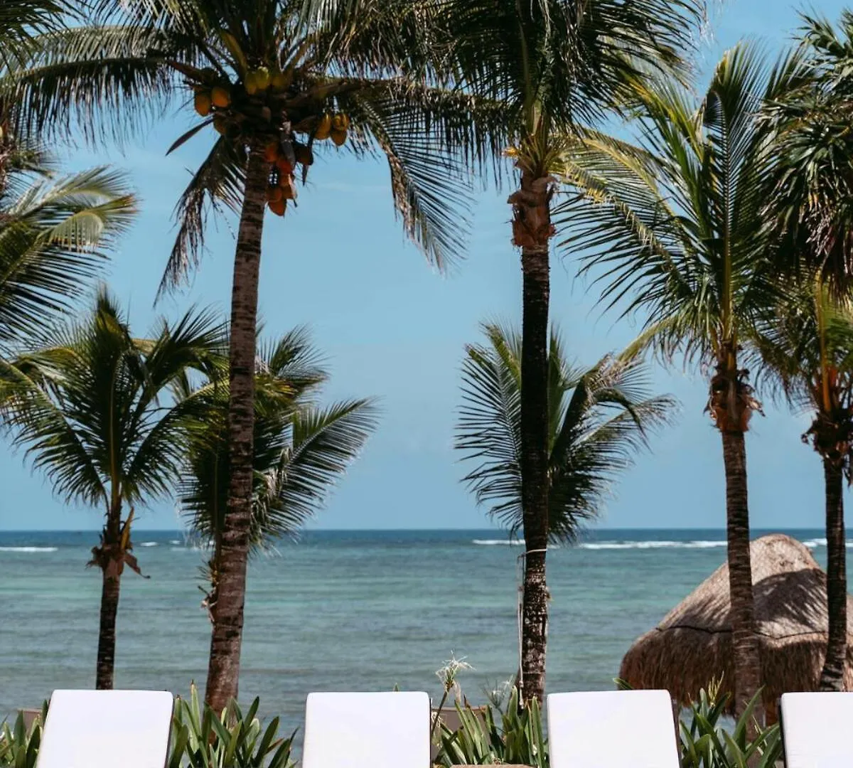 Beachfront Staff N Cook, Luxury 8 Bed Villa In Tulum Balcheil México